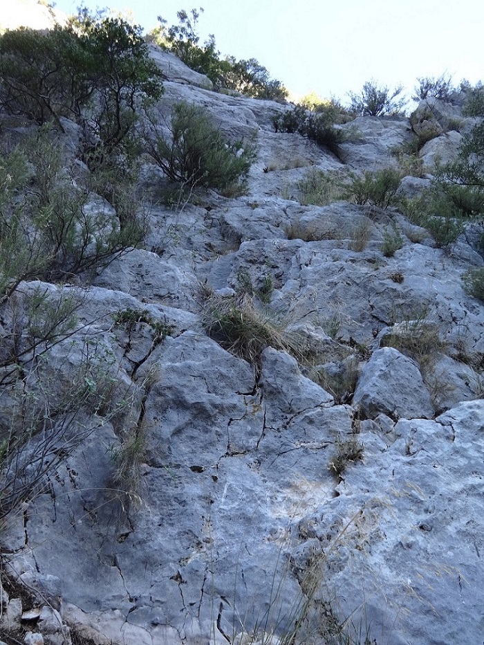 Gorges du Destel, voie `Donjons et dragons`, longueur L1, Provence