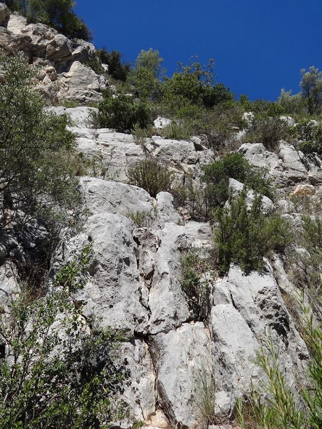 Gorges du Destel, voie `Donjons et dragons`, longueur L6, Provence