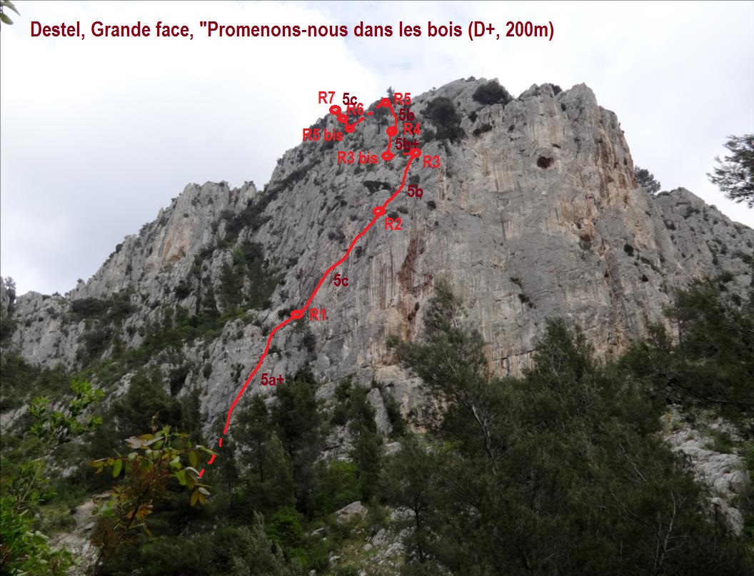 Gorges du Destel vers Toulon, `Promenons-nous dans les bois`