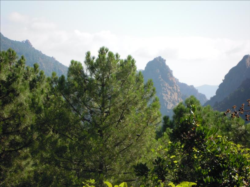 Voie Allegria, Castellu d`Ornucciu, Bavella, Corse