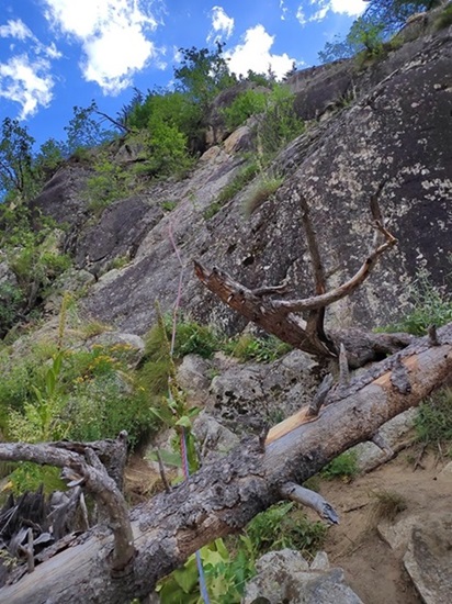 Voie La Raclure, longueur L4, à Ailefroide, Oisans