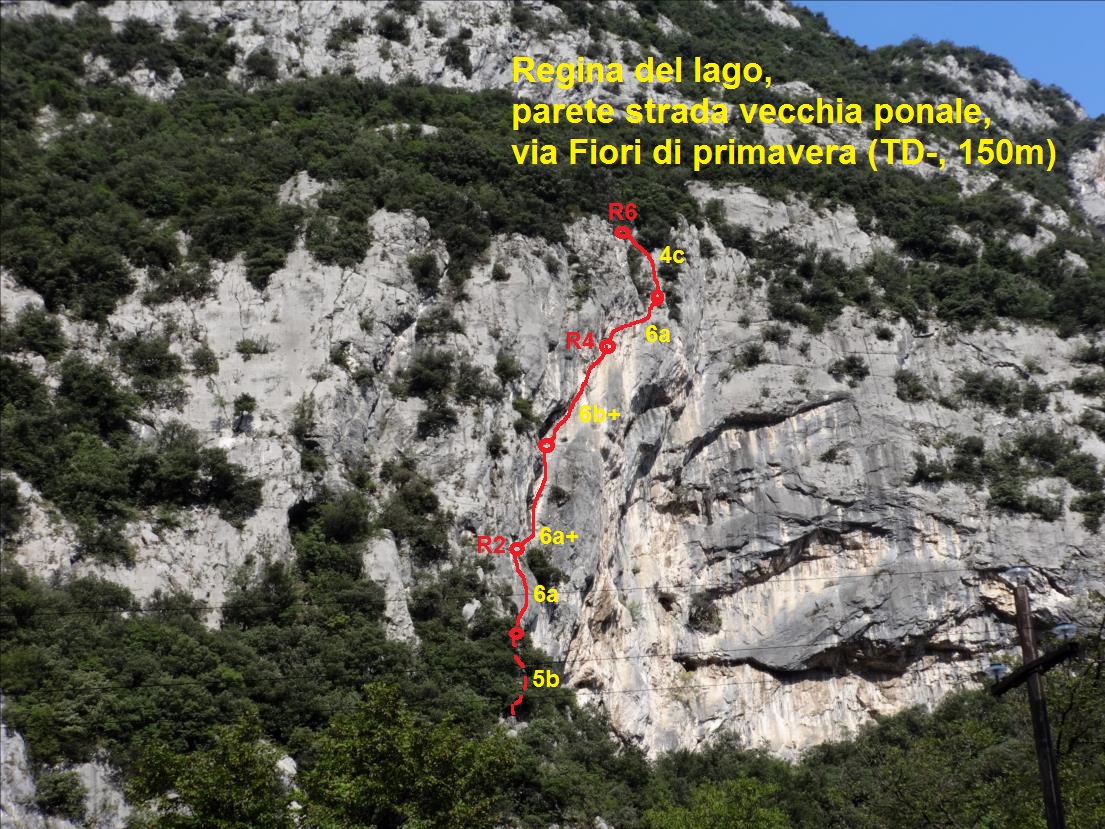 Via Fiori di primavera, regina del lago, Arco, lac de Garde