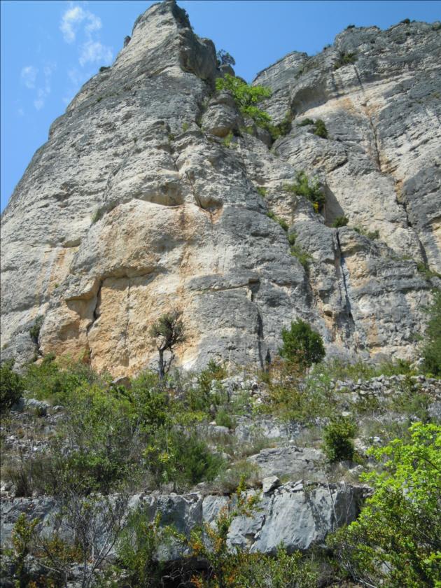 Le Révérend des Gorges de la Jonte